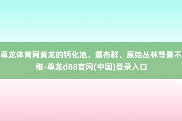 尊龙体育网黄龙的钙化池、瀑布群、原始丛林等景不雅-尊龙d88官网(中国)登录入口