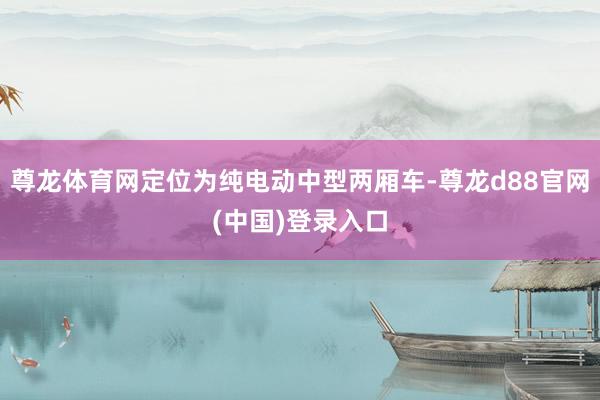 尊龙体育网定位为纯电动中型两厢车-尊龙d88官网(中国)登录入口