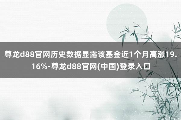 尊龙d88官网历史数据显露该基金近1个月高涨19.16%-尊龙d88官网(中国)登录入口