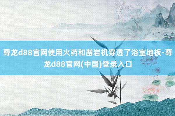 尊龙d88官网使用火药和凿岩机穿透了浴室地板-尊龙d88官网(中国)登录入口