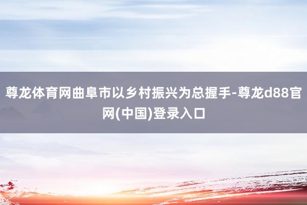 尊龙体育网曲阜市以乡村振兴为总握手-尊龙d88官网(中国)登录入口