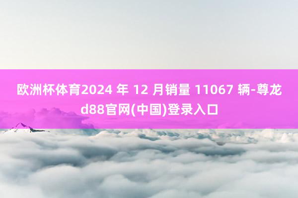 欧洲杯体育2024 年 12 月销量 11067 辆-尊龙d88官网(中国)登录入口