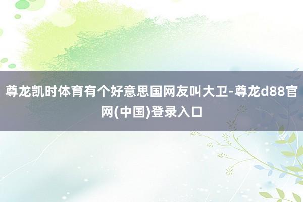 尊龙凯时体育有个好意思国网友叫大卫-尊龙d88官网(中国)登录入口