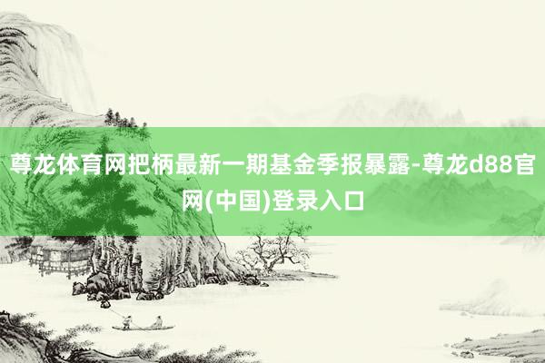 尊龙体育网把柄最新一期基金季报暴露-尊龙d88官网(中国)登录入口