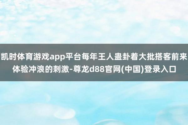 凯时体育游戏app平台每年王人蛊卦着大批搭客前来体验冲浪的刺激-尊龙d88官网(中国)登录入口