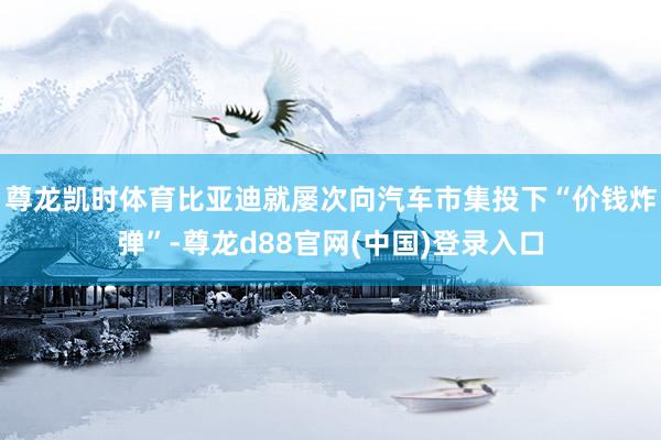 尊龙凯时体育比亚迪就屡次向汽车市集投下“价钱炸弹”-尊龙d88官网(中国)登录入口