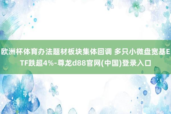 欧洲杯体育办法题材板块集体回调 多只小微盘宽基ETF跌超4%-尊龙d88官网(中国)登录入口