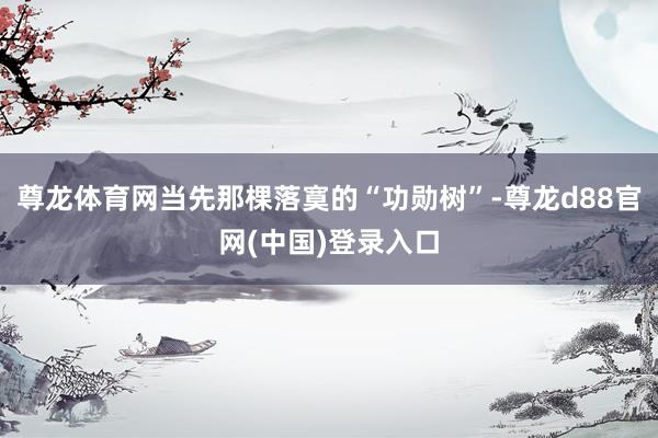 尊龙体育网当先那棵落寞的“功勋树”-尊龙d88官网(中国)登录入口