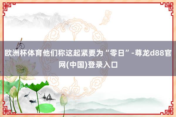 欧洲杯体育他们称这起紧要为“零日”-尊龙d88官网(中国)登录入口