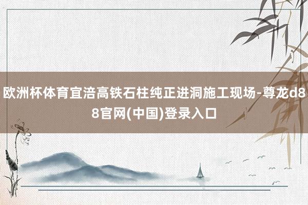 欧洲杯体育宜涪高铁石柱纯正进洞施工现场-尊龙d88官网(中国)登录入口