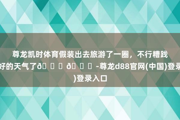 尊龙凯时体育假装出去旅游了一圈，不行糟践这样好的天气了😂😂-尊龙d88官网(中国)登录入口