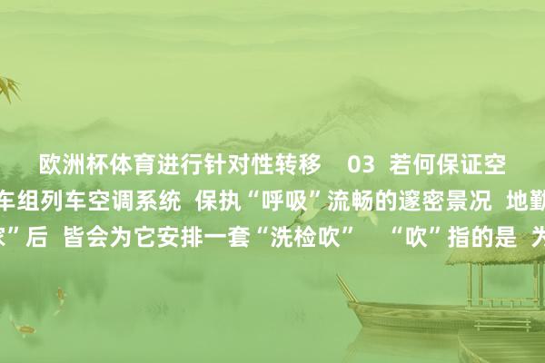 欧洲杯体育进行针对性转移    03  若何保证空气执久簇新？  为了让动车组列车空调系统  保执“呼吸”流畅的邃密景况  地勤机械师在动车“回家”后  皆会为它安排一套“洗检吹”    “吹”指的是  为处分滤网上附着的杂质和污垢  地勤机械师隔断空调盖板  使用高压风管进行吹尘      “洗”指的是  由于空调机组散热翅片  是絮状物和灰尘最爱“驻足”的方位  为保证空调制冷效力  地勤机械