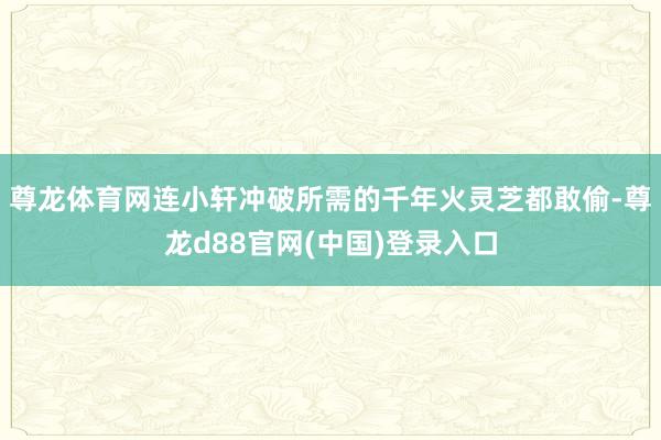 尊龙体育网连小轩冲破所需的千年火灵芝都敢偷-尊龙d88官网(中国)登录入口
