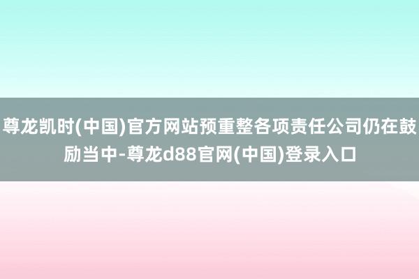 尊龙凯时(中国)官方网站预重整各项责任公司仍在鼓励当中-尊龙d88官网(中国)登录入口