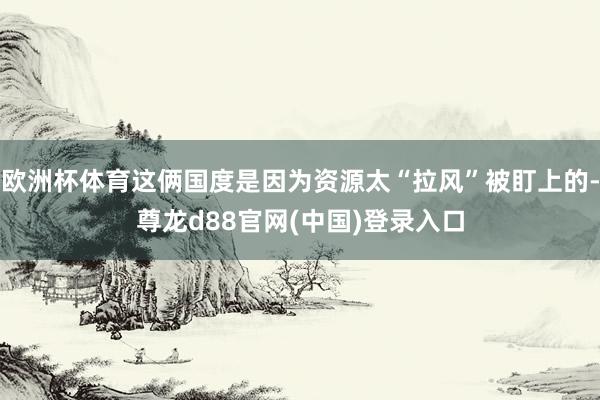 欧洲杯体育这俩国度是因为资源太“拉风”被盯上的-尊龙d88官网(中国)登录入口