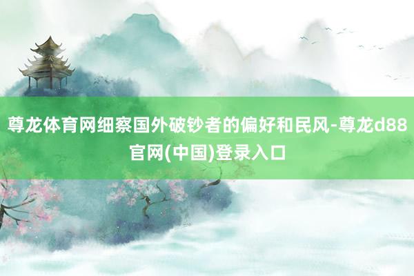 尊龙体育网细察国外破钞者的偏好和民风-尊龙d88官网(中国)登录入口