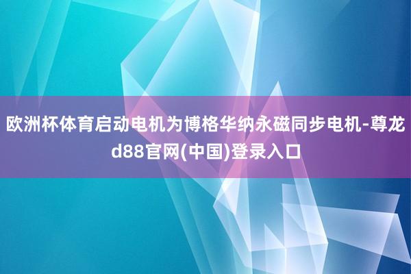 欧洲杯体育启动电机为博格华纳永磁同步电机-尊龙d88官网(中国)登录入口