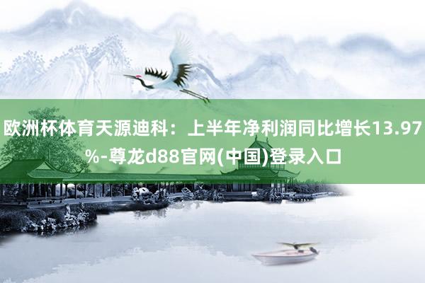 欧洲杯体育天源迪科：上半年净利润同比增长13.97%-尊龙d88官网(中国)登录入口