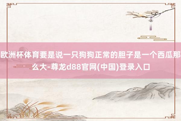欧洲杯体育要是说一只狗狗正常的胆子是一个西瓜那么大-尊龙d88官网(中国)登录入口