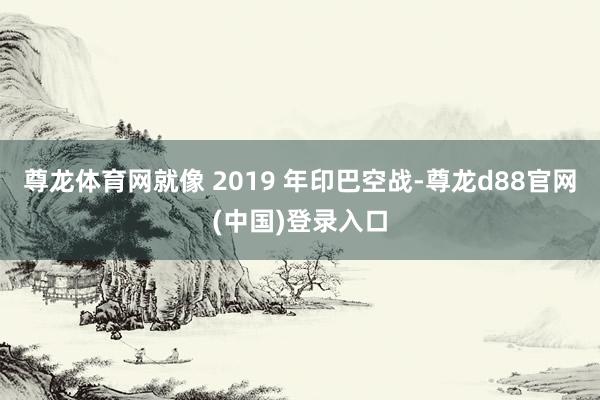 尊龙体育网就像 2019 年印巴空战-尊龙d88官网(中国)登录入口