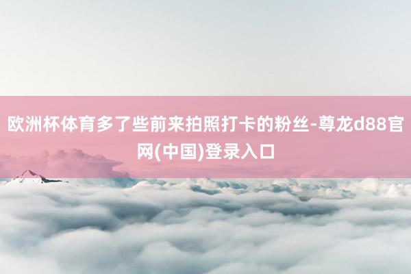 欧洲杯体育多了些前来拍照打卡的粉丝-尊龙d88官网(中国)登录入口