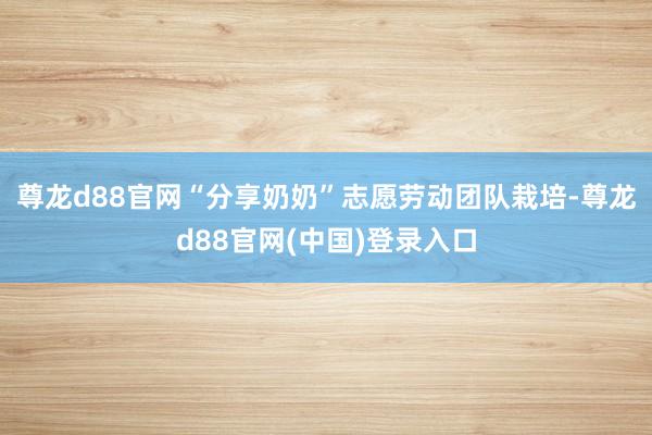 尊龙d88官网“分享奶奶”志愿劳动团队栽培-尊龙d88官网(中国)登录入口