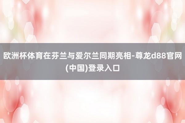 欧洲杯体育在芬兰与爱尔兰同期亮相-尊龙d88官网(中国)登录入口