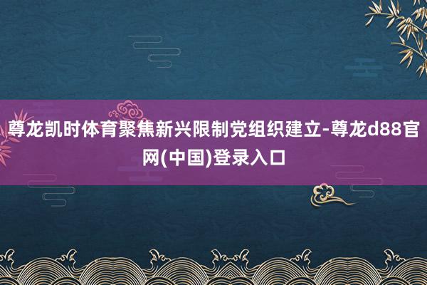 尊龙凯时体育聚焦新兴限制党组织建立-尊龙d88官网(中国)登录入口