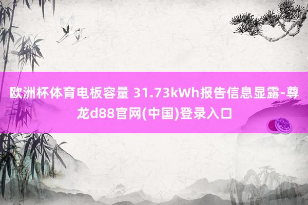 欧洲杯体育电板容量 31.73kWh报告信息显露-尊龙d88官网(中国)登录入口