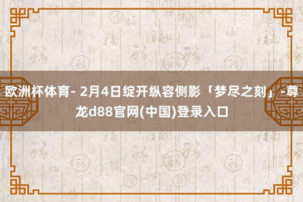 欧洲杯体育- 2月4日绽开纵容侧影「梦尽之刻」-尊龙d88官网(中国)登录入口