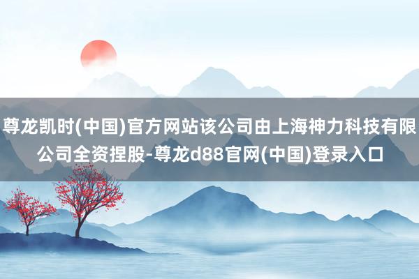 尊龙凯时(中国)官方网站该公司由上海神力科技有限公司全资捏股-尊龙d88官网(中国)登录入口