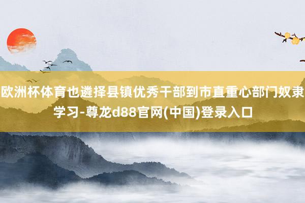 欧洲杯体育也遴择县镇优秀干部到市直重心部门奴隶学习-尊龙d88官网(中国)登录入口