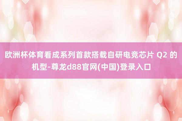 欧洲杯体育看成系列首款搭载自研电竞芯片 Q2 的机型-尊龙d88官网(中国)登录入口