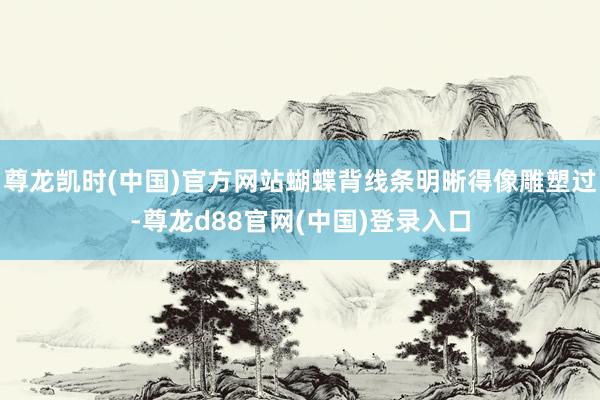 尊龙凯时(中国)官方网站蝴蝶背线条明晰得像雕塑过-尊龙d88官网(中国)登录入口